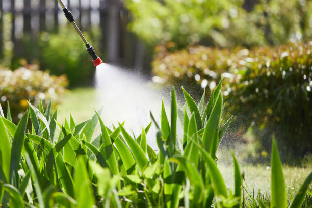 Tamper-Resistant Bait Stations for Rodents in Bishop
