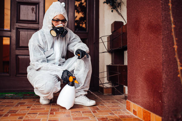 Attic and Crawl Space Rodent Treatment in Bishop