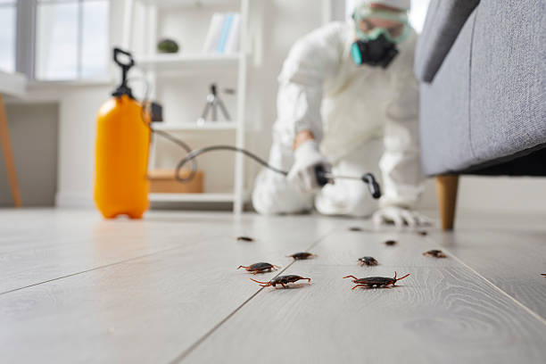 Commercial Rodent Management in Bishop